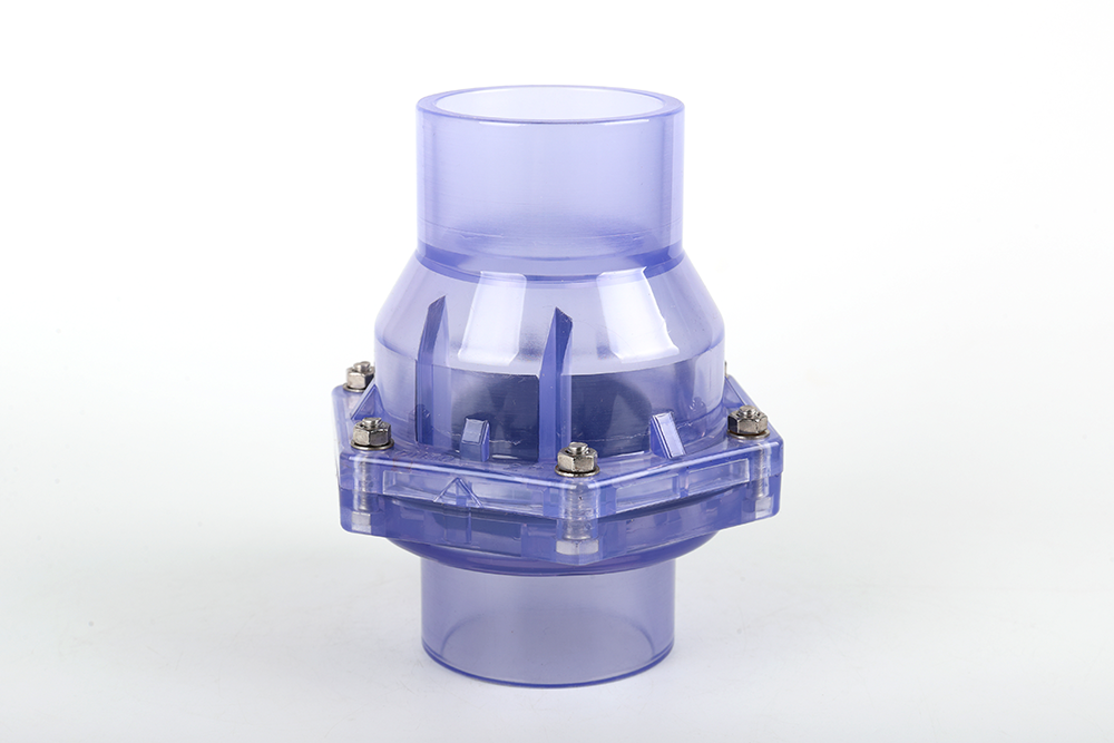 崇阳透明翻板式止回阀